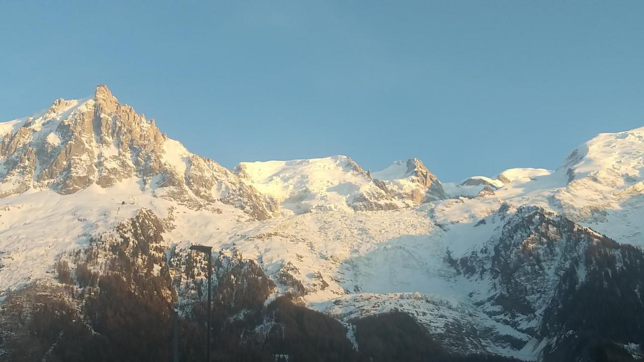 Appartement Plein Sud Vue Mont Blanc *